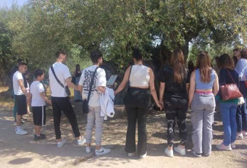 Το ΕΠΑΛ Μολάων «πρεσβευτής» της υπεραιωνόβιας ελιάς της Απιδιάς