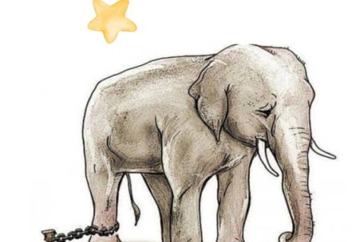 Δράση προσωπικής ανάπτυξης για παιδιά στη Βιβλιοθήκη Σπάρτης