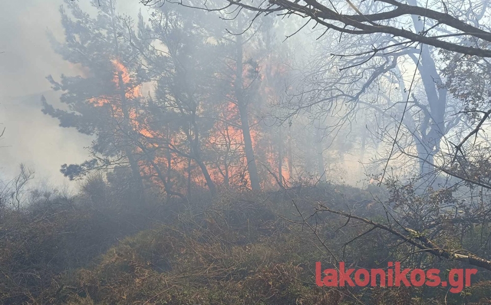 &Mu;&epsilon;&gamma;ά&lambda;&eta; &pi;&upsilon;&rho;&kappa;&alpha;&gamma;&iota;ά &sigma;&tau;&omicron;&nu; &Tau;&alpha;ΰ&gamma;&epsilon;&tau;&omicron; &mu;&epsilon;&tau;&alpha;&xi;ύ &Beta;&alpha;&sigma;&iota;&lambda;&iota;&kappa;ή&sigmaf; &kappa;&alpha;&iota; Ά&rho;&nu;&alpha;&sigmaf; (&Phi;&Omega;&Tau;&Omicron;)