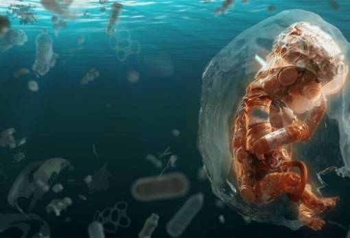 Μικροπλαστικά εντοπίστηκαν σε ανθρώπινα όργανα