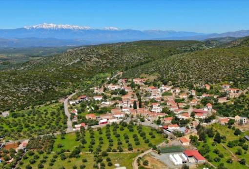 Αλεποχώρι: Δημιουργήθηκε βιβλιοθήκη στο Πνευματικό Κέντρο