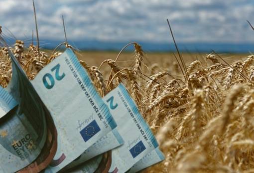 Πληρωμές σε 572.444 δικαιούχους από τον ΟΠΕΚΕΠΕ