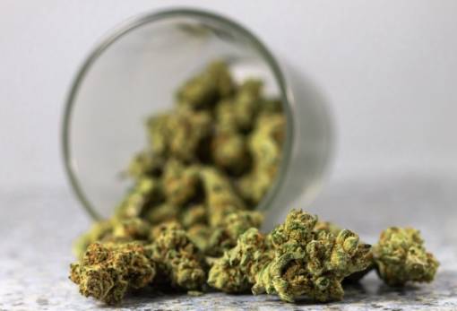 Σύλληψη 25χρονου με κάνναβη στη Σπάρτη