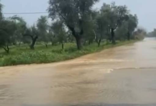 Απηύδησαν στην Τραπεζοντή…