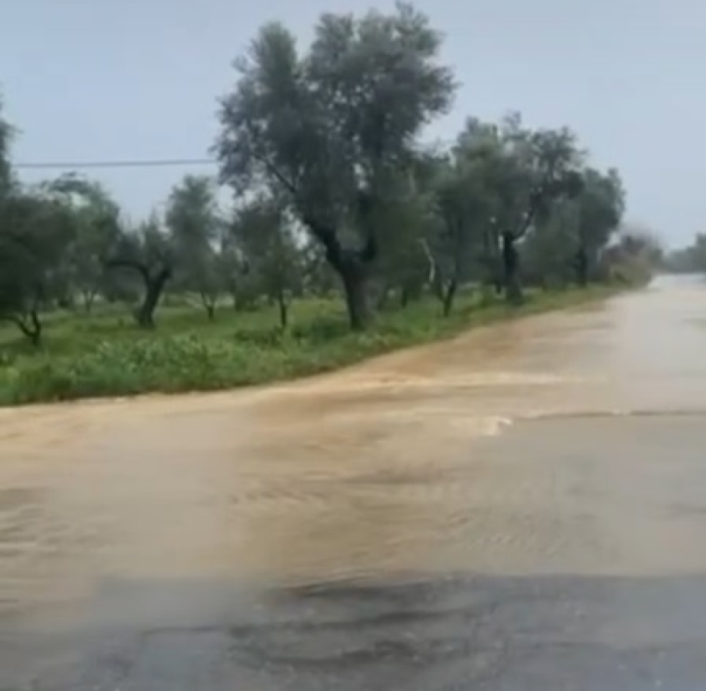 &Alpha;&pi;&eta;ύ&delta;&eta;&sigma;&alpha;&nu; &sigma;&tau;&eta;&nu; &Tau;&rho;&alpha;&pi;&epsilon;&zeta;&omicron;&nu;&tau;ή&hellip;