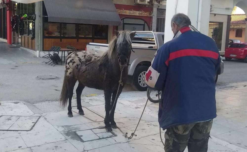 &Sigma;&pi;ά&rho;&tau;&eta;: &Tau;&iota; &gamma;&upsilon;&rho;&epsilon;ύ&epsilon;&iota; έ&nu;&alpha; ά&lambda;&omicron;&gamma;&omicron; &sigma;&tau;&eta;&nu; &Kappa;&omega;&nu;&sigma;&tau;&alpha;&nu;&tau;ί&nu;&omicron;&upsilon; &Pi;&alpha;&lambda;&alpha;&iota;&omicron;&lambda;ό&gamma;&omicron;&upsilon;; (&Phi;&Omega;&Tau;&Omicron;)