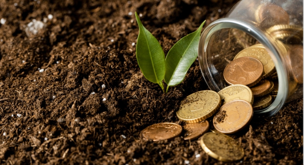 &Sigma;&tau;ή&rho;&iota;&xi;&eta; 175 &epsilon;&kappa;&alpha;&tau;. &epsilon;&upsilon;&rho;ώ &sigma;&tau;&eta;&nu; &alpha;&gamma;&rho;&omicron;&tau;&iota;&kappa;ή &pi;&alpha;&rho;&alpha;&gamma;&omega;&gamma;ή