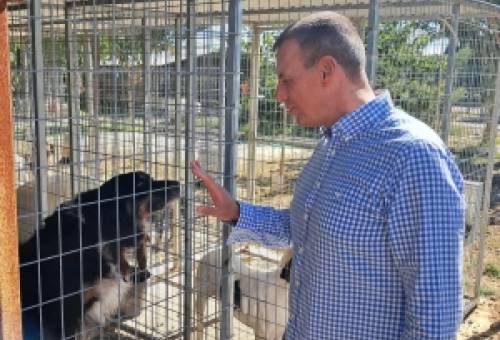 Μήνυμα δημάρχου Σπάρτης για την Παγκόσμια Ημέρα Αδέσποτων Ζώων: «Η φροντίδα τους είναι υπόθεση όλων μας»