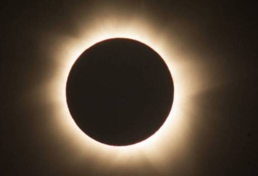 Έρευνα: Πώς η ηλιακή έκλειψη επηρεάζει τα ζώα