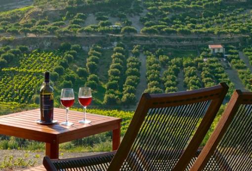 Αυγενάκης: Ο οινοτουρισμός μπορεί να αποτελέσει το εργαλείο για την επιμήκυνση της τουριστικής περιόδου