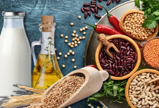 Νόμος για την προστασία και τον έλεγχο γεωργικών προϊόντων και τροφίμων με ΠΟΠ, ΠΓΕ και ΕΠΙΠ