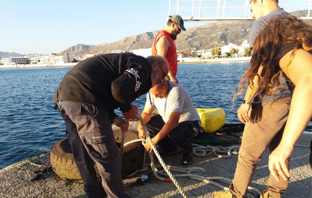 &Kappa;&alpha;&theta;&alpha;&rho;ί&sigma;&tau;&eta;&kappa;&epsilon; &omicron; &beta;&upsilon;&theta;ό&sigmaf; &sigma;&tau;&eta; &Nu;&epsilon;ά&pi;&omicron;&lambda;&eta; (&Phi;&Omega;&Tau;&Omicron;)