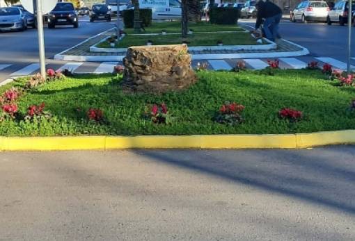 Ανθισμένη Σπάρτη: Συνεχίζονται οι παρεμβάσεις πρασίνου σε πλατείες, νησίδες και πάρκα