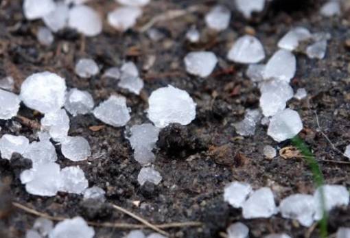 Εκδόθηκαν τα πορίσματα για ζημιές σε καλλιέργειες 3 περιοχών του Δ. Ευρώτα