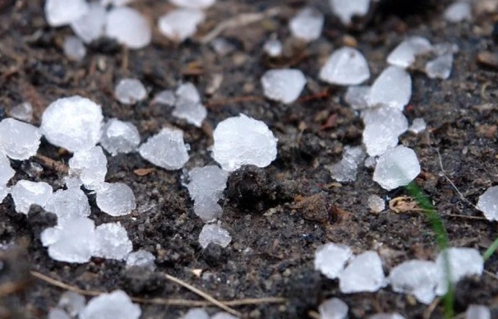 &Epsilon;&kappa;&delta;ό&theta;&eta;&kappa;&alpha;&nu; &tau;&alpha; &pi;&omicron;&rho;ί&sigma;&mu;&alpha;&tau;&alpha; &gamma;&iota;&alpha; &zeta;&eta;&mu;&iota;έ&sigmaf; &sigma;&epsilon; &kappa;&alpha;&lambda;&lambda;&iota;έ&rho;&gamma;&epsilon;&iota;&epsilon;&sigmaf; 3 &pi;&epsilon;&rho;&iota;&omicron;&chi;ώ&nu; &tau;&omicron;&upsilon; &Delta;. &Epsilon;&upsilon;&rho;ώ&tau;&alpha;
