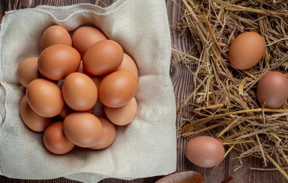 &Xi;&epsilon;&kappa;ί&nu;&eta;&sigma;&epsilon; &eta; &laquo;&kappa;&rho;ί&sigma;&eta; &tau;&omega;&nu; &alpha;&upsilon;&gamma;ώ&nu;&raquo; &sigma;&tau;&eta;&nu; &Epsilon;&Epsilon;