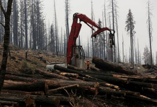 Αναβάλλεται η απαγόρευση της ΕΕ για προϊόντα που συνδέονται με την αποδάσωση