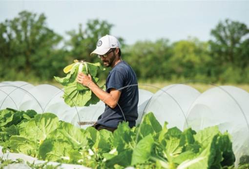 ΚΑΠ: Τι αλλάζει σε ελέγχους, αιρεσιμότητα και περιβαλλοντικούς όρους από το 2026