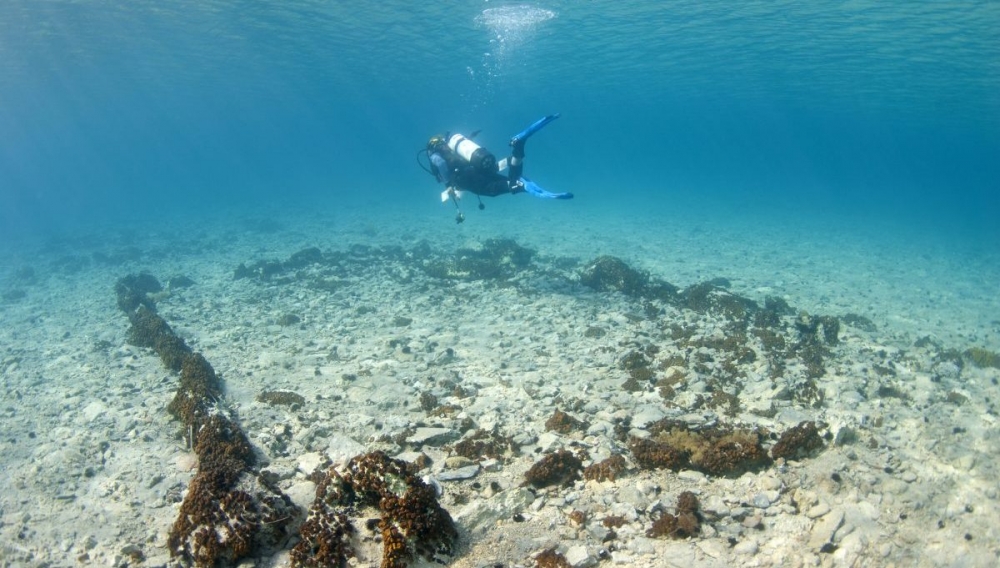 &Upsilon;&pi;&omicron;&beta;&rho;ύ&chi;&iota;&epsilon;&sigmaf; &delta;&iota;&alpha;&delta;&rho;&omicron;&mu;έ&sigmaf; &sigma;&tau;&omicron; &beta;&upsilon;&theta;&iota;&sigma;&mu;έ&nu;&omicron; &Pi;&alpha;&upsilon;&lambda;&omicron;&pi;έ&tau;&rho;&iota;