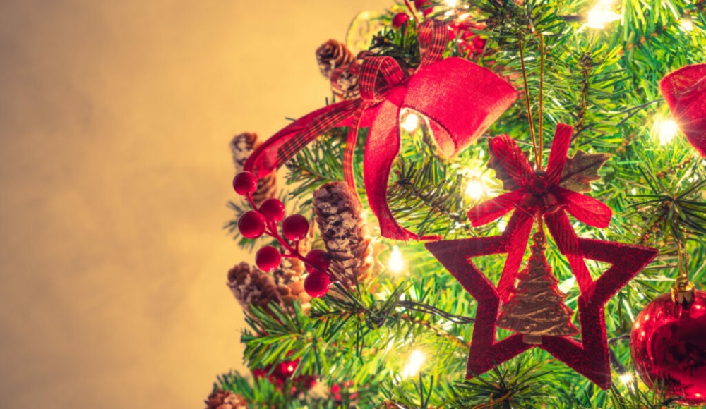 &Phi;&omega;&tau;&alpha;&gamma;ώ&gamma;&eta;&sigma;&eta; &chi;&rho;&iota;&sigma;&tau;&omicron;&upsilon;&gamma;&epsilon;&nu;&nu;&iota;ά&tau;&iota;&kappa;&omicron;&upsilon; &delta;έ&nu;&tau;&rho;&omicron;&upsilon;  &sigma;&tau;&eta; &Sigma;&kappa;&omicron;ύ&rho;&alpha;