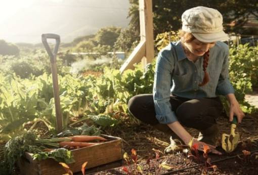 Πρόγραμμα Women’s Academy for Rural Innovation