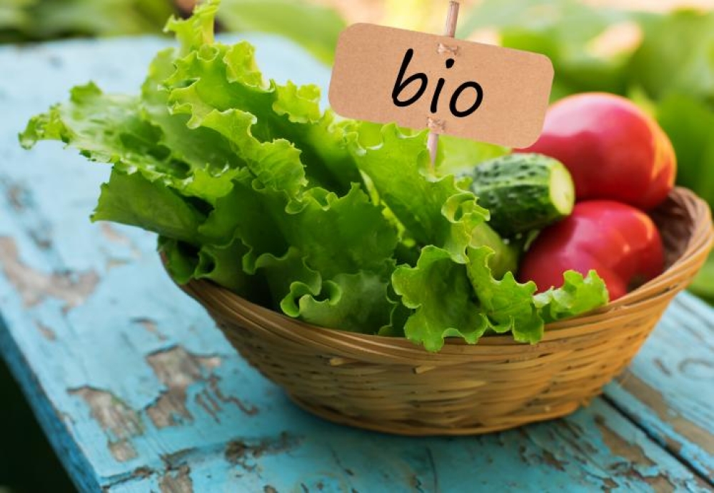 &Eta; &beta;&iota;&omicron;&lambda;&omicron;&gamma;&iota;&kappa;ή &pi;&alpha;&rho;&alpha;&gamma;&omega;&gamma;ή &sigma;&tau;&eta;&nu; &Epsilon;&Epsilon; &kappa;&alpha;&iota; &omicron;&iota; &nu;έ&omicron;&iota; &kappa;&alpha;&nu;ό&nu;&epsilon;&sigmaf;