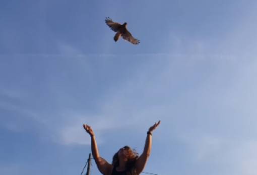 Επανένταξη άγριων ζώων στο περιβάλλον από την «Τουλίπα Γουλιμή»