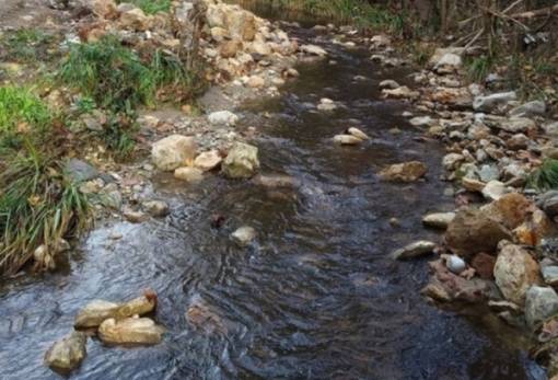 «Συνεχίζεται η αδιαφορία των αρχών για τη ρύπανση του Ευρώτα»