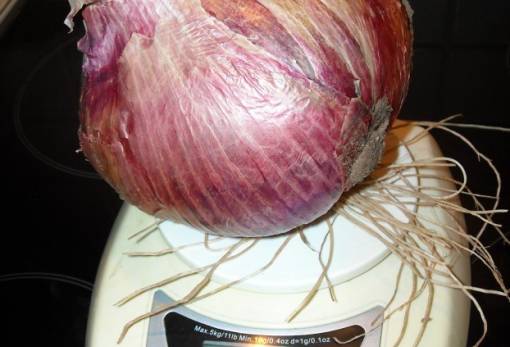 Απίστευτο κι όμως αληθινό!!!