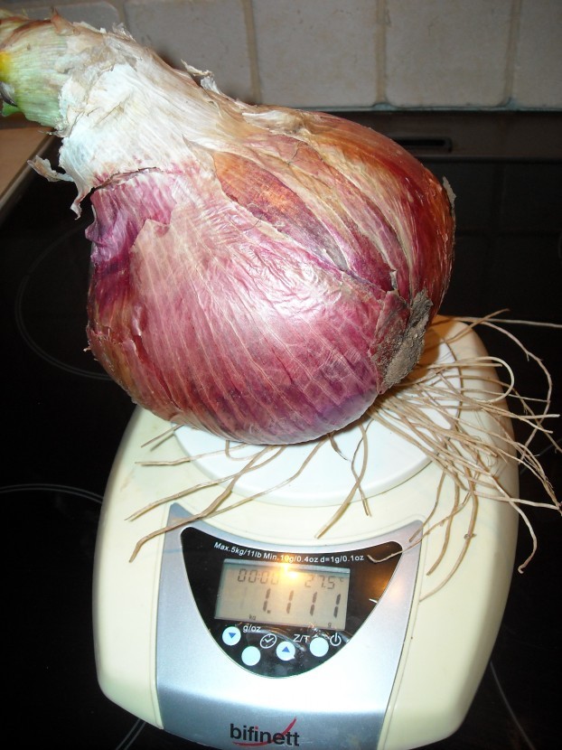 &Alpha;&pi;ί&sigma;&tau;&epsilon;&upsilon;&tau;&omicron; &kappa;&iota; ό&mu;&omega;&sigmaf; &alpha;&lambda;&eta;&theta;&iota;&nu;ό!!!