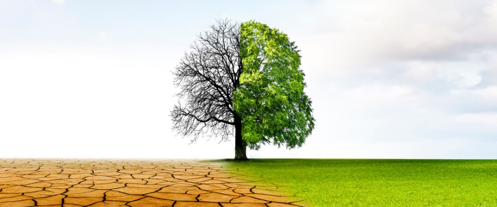 &Delta;&rho;&alpha;&mu;&alpha;&tau;&iota;&kappa;ή &pi;&rho;ό&beta;&lambda;&epsilon;&psi;&eta; &gamma;&iota;&alpha; &tau;&eta;&nu; &kappa;&lambda;&iota;&mu;&alpha;&tau;&iota;&kappa;ή &kappa;&rho;ί&sigma;&eta;