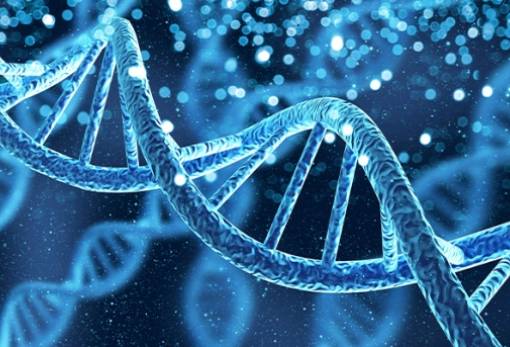 «DNA: Το μόριο της ζωής»: Ανοιχτή εκδήλωση του sparta.komvos φωτίζει τα μυστικά της ζωής