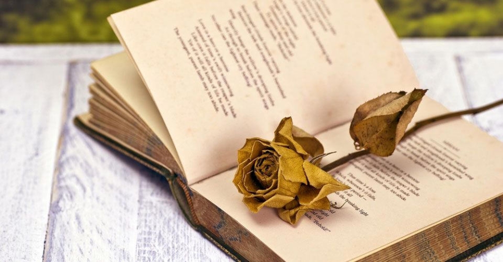 &Eta; &Eta;&mu;έ&rho;&alpha; &Pi;&omicron;ί&eta;&sigma;&eta;&sigmaf; &gamma;&iota;&omicron;&rho;&tau;ά&zeta;&epsilon;&tau;&alpha;&iota; &sigma;&tau;&omicron;&nu; &kappa;ή&pi;&omicron; &tau;&omicron;&upsilon; &Mu;&omicron;&upsilon;&sigma;&epsilon;ί&omicron;&upsilon; &Sigma;&pi;ά&rho;&tau;&eta;&sigmaf;