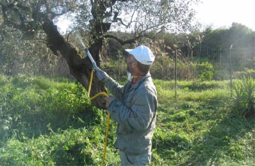 &Delta;&alpha;&kappa;&omicron;&kappa;&tau;&omicron;&nu;ί&alpha; &xi;&epsilon;&kappa;&iota;&nu;ά&epsilon;&iota;  &sigma;&tau;&omicron;&nu; &Beta;&rho;&omicron;&nu;&tau;&alpha;&mu;ά
