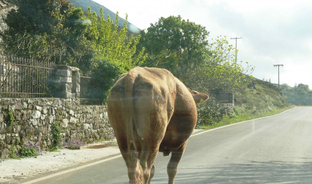 &Alpha;&nu;&alpha;&theta;έ&tau;&epsilon;&iota; &sigma;&epsilon; &iota;&delta;&iota;ώ&tau;&eta; &tau;&eta;&nu; &pi;&epsilon;&rho;&iota;&sigma;&upsilon;&lambda;&lambda;&omicron;&gamma;ή &alpha;&nu;&epsilon;&pi;&iota;&tau;ή&rho;&eta;&tau;&omega;&nu; &zeta;ώ&omega;&nu; &omicron; &Delta;ή&mu;&omicron;&sigmaf; &Alpha;&nu;&alpha;&tau;. &Mu;ά&nu;&eta;&sigmaf;