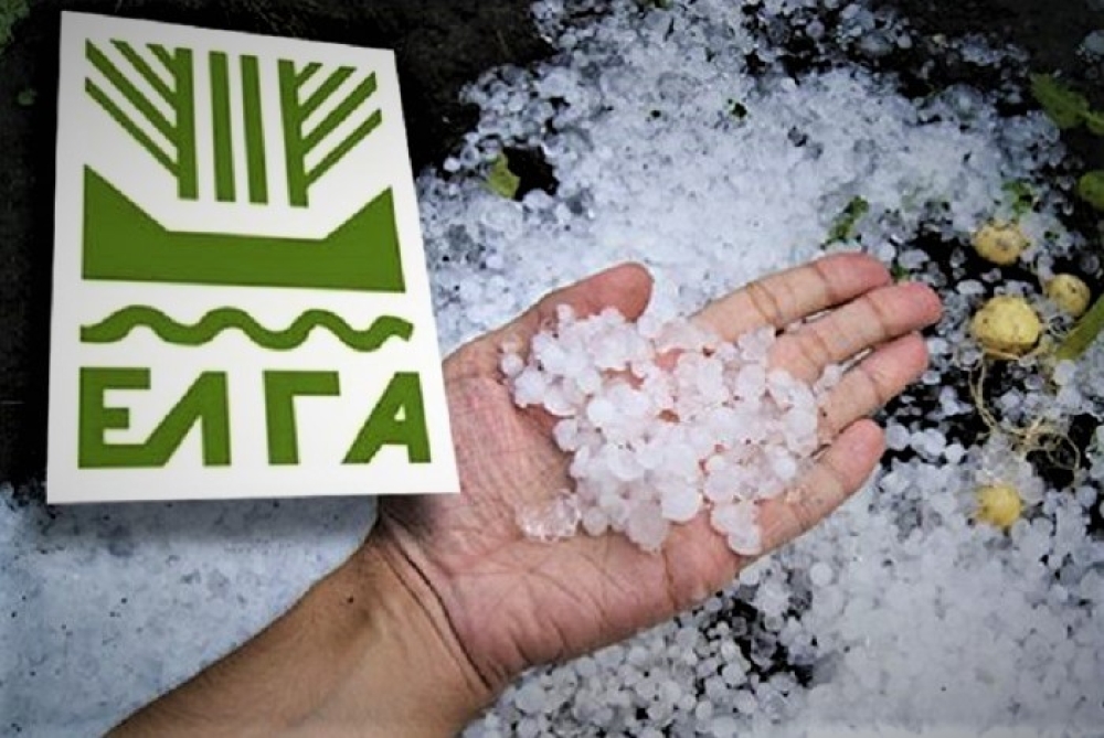 &Alpha;&nu;&alpha;&gamma;&gamma;&epsilon;&lambda;ί&alpha; &zeta;&eta;&mu;&iota;ά&sigmaf; &alpha;&pi;ό &tau;&omicron; &pi;&rho;ό&sigma;&phi;&alpha;&tau;&omicron; &chi;&alpha;&lambda;ά&zeta;&iota; &sigma;&epsilon; &kappa;&alpha;&lambda;&lambda;&iota;έ&rho;&gamma;&epsilon;&iota;&epsilon;&sigmaf; &tau;&eta;&sigmaf; &Delta;&Kappa; &Gamma;&omicron;&upsilon;&beta;ώ&nu;