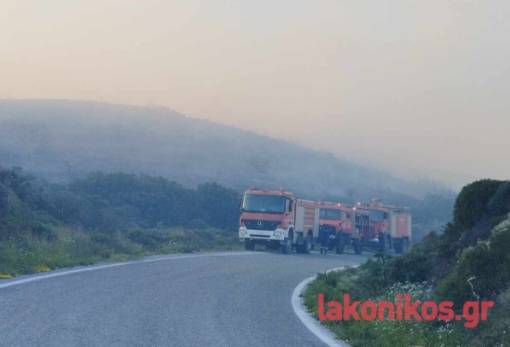 Συνελήφθη την 25η Μαρτίου για πυρκαγιά στην Ελίκα