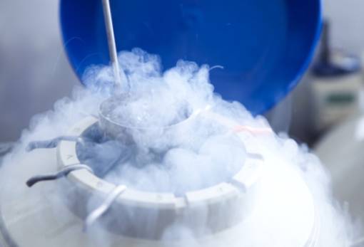 Πόσο αποτελεσματική είναι η κρυοσυντήρηση ωαρίων