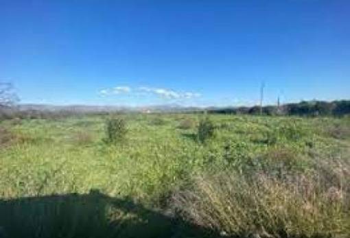 Παναγιωτακάκος: Τα κληροδοτήματα δεν είναι γιουσουρούμ