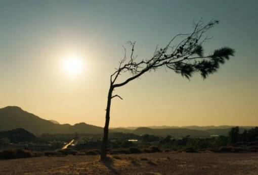 Copernicus: Ρεκόρ υψηλών θερμοκρασιών το πρώτο τρίμηνο του 2024