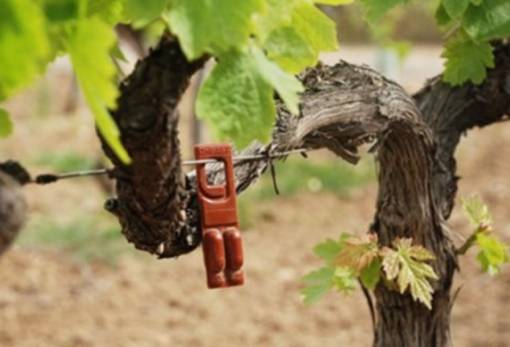 Κομφούζιο: Παράταση προθεσμίας