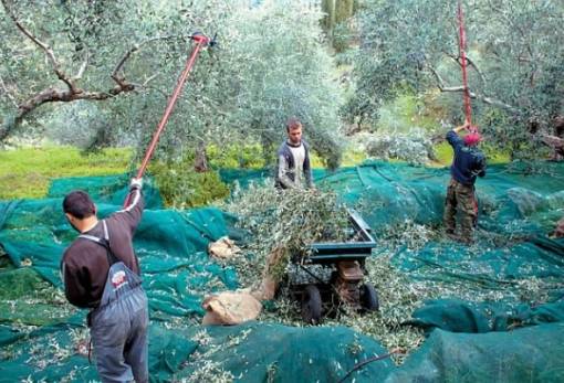 Επιδοτήσεις... μετ’ επιστροφής τρία χρόνια μετά