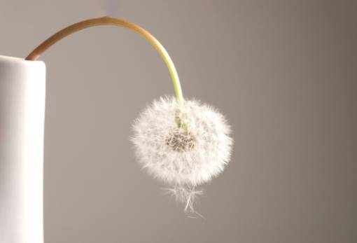 Το σνακ που βοηθά τους άνδρες με στυτική δυσλειτουργία