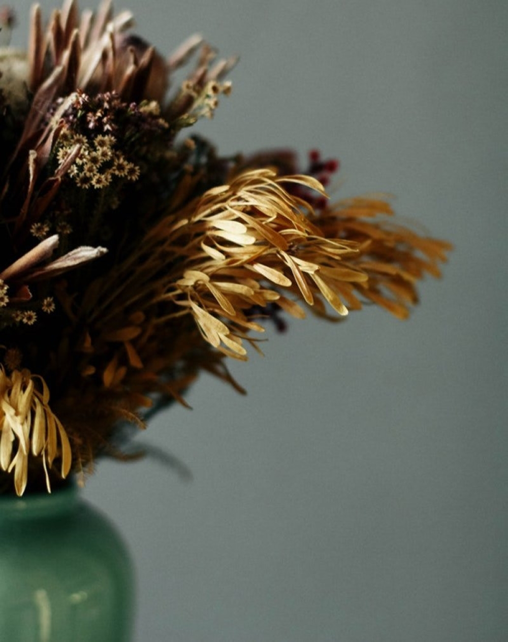 &Gamma;&iota;&alpha;&tau;ί &tau;&alpha; &alpha;&pi;&omicron;&xi;&eta;&rho;&alpha;&mu;έ&nu;&alpha; &phi;&upsilon;&tau;ά &epsilon;ί&nu;&alpha;&iota; &laquo;&alpha;&pi;&alpha;&gamma;&omicron;&rho;&epsilon;&upsilon;&tau;&iota;&kappa;ά&raquo; &gamma;&iota;&alpha; &tau;&omicron; &Phi;&epsilon;&nu;&gamma;&kappa; &Sigma;&omicron;ύ&iota;;