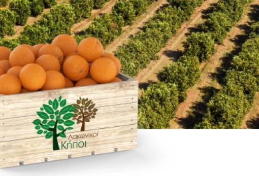 Λακωνικοί Κήποι: Βάζουν τον πήχη ψηλά