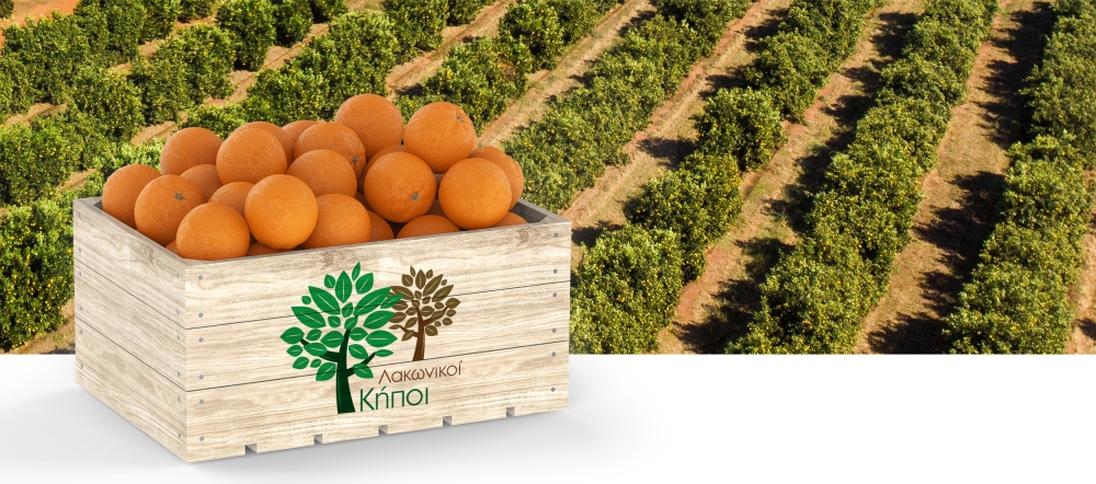 &Lambda;&alpha;&kappa;&omega;&nu;&iota;&kappa;&omicron;ί &Kappa;ή&pi;&omicron;&iota;: &Beta;ά&zeta;&omicron;&upsilon;&nu; &tau;&omicron;&nu; &pi;ή&chi;&eta; &psi;&eta;&lambda;ά