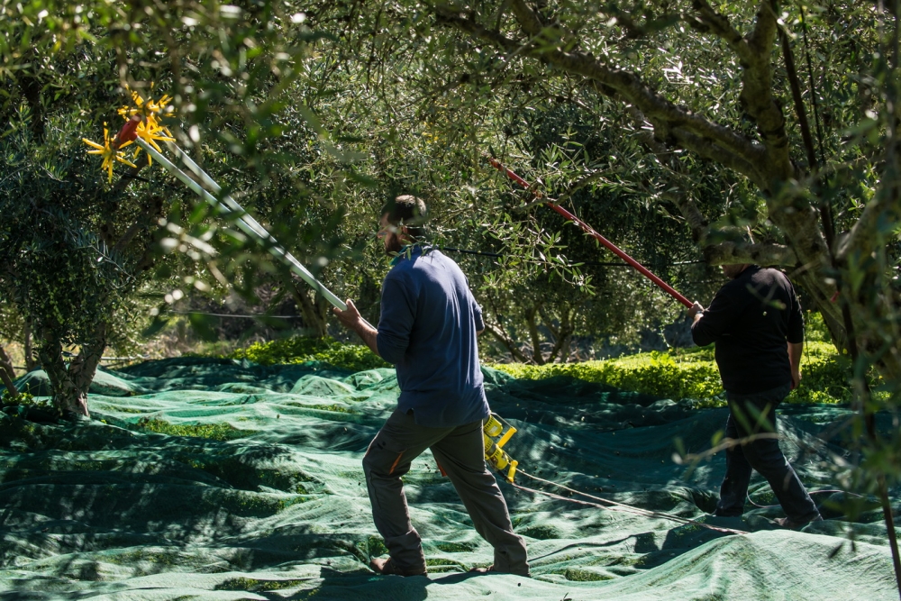 &Delta;&rho;&omicron;&mu;&omicron;&lambda;&omicron;&gamma;ή&theta;&eta;&kappa;&epsilon; &eta; &rho;&epsilon;&upsilon;&mu;&alpha;&tau;&omicron;&delta;ό&tau;&eta;&sigma;&eta; &sigma;&tau;&eta;&nu; ύ&pi;&alpha;&iota;&theta;&rho;&omicron; &tau;&eta;&sigmaf; &Lambda;&alpha;&kappa;&omega;&nu;ί&alpha;&sigmaf;