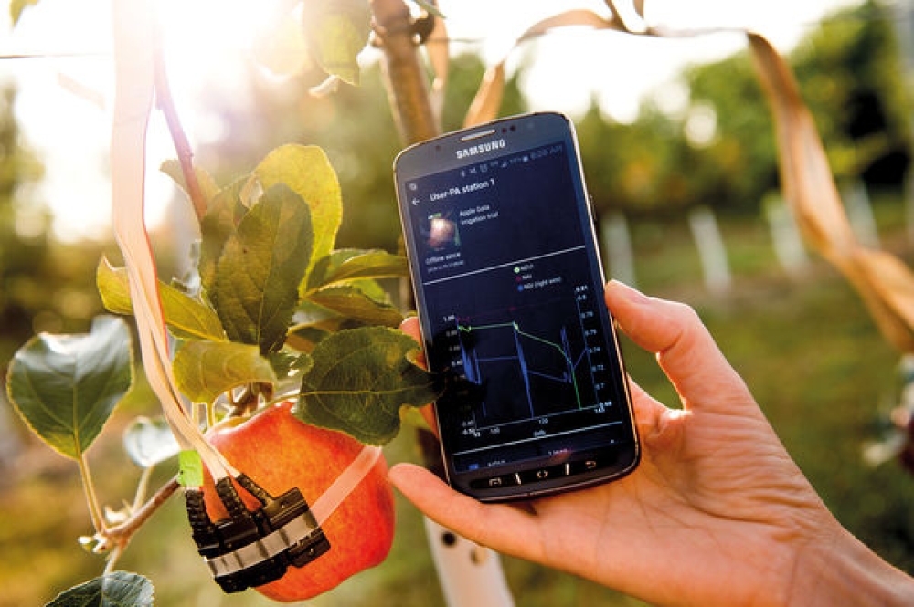 &Chi;&rho;&eta;&mu;&alpha;&tau;&omicron;&delta;ό&tau;&eta;&sigma;&eta; &epsilon;&pi;&epsilon;&nu;&delta;ύ&sigma;&epsilon;&omega;&nu; &sigma;&epsilon; &gamma;&epsilon;&omega;&rho;&gamma;ί&alpha; &kappa;&alpha;&iota; &mu;&epsilon;&tau;&alpha;&pi;&omicron;ί&eta;&sigma;&eta; &tau;&rho;&omicron;&phi;ί&mu;&omega;&nu;