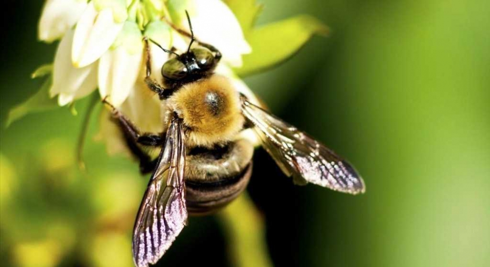 &Tau;&rho;ό&phi;&iota;&mu;&alpha;: &Tau;&alpha; 1/3 &tau;&omega;&nu; &epsilon;&iota;&delta;ώ&nu; &pi;&omicron;&upsilon; &tau;&rho;ώ&mu;&epsilon; &epsilon;ί&nu;&alpha;&iota; &sigma;&epsilon; &kappa;ί&nu;&delta;&upsilon;&nu;&omicron;