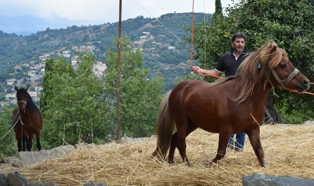 4&omicron; &Pi;&alpha;&rho;&alpha;&delta;&omicron;&sigma;&iota;&alpha;&kappa;ό &Alpha;&lambda;ώ&nu;&iota;&sigma;&mu;&alpha; &sigma;&tau;&omicron;&upsilon;&sigmaf; &Gamma;&omicron;&rho;ά&nu;&omicron;&upsilon;&sigmaf;